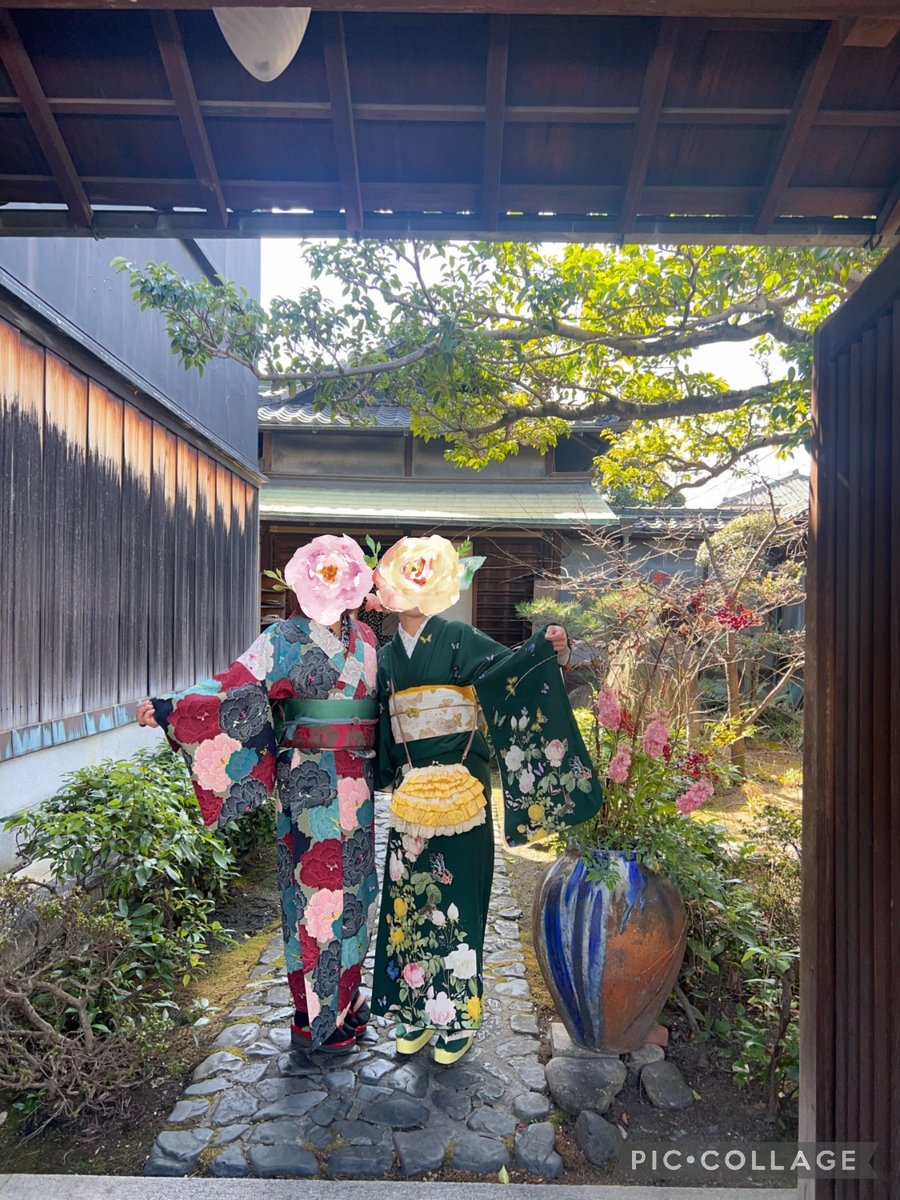 豆千代モダン 🎀🎀 (@mamechiyomodern) / Posts / X