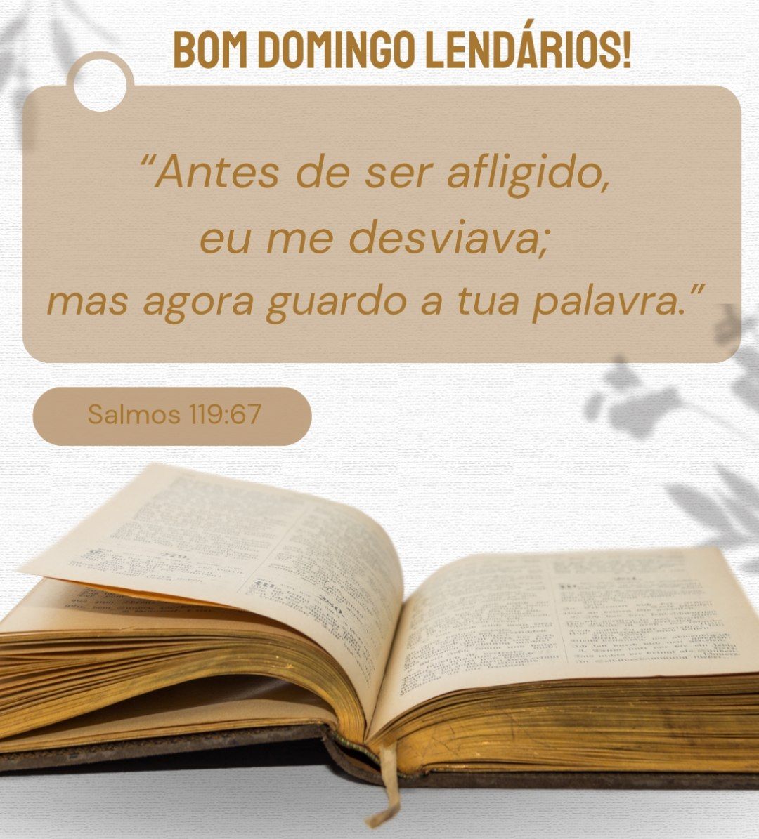 Ditado de hoje: 
"A gente só dá valor, quando perde."

Bom Domingo Lendarios! 🙏🏻

#DitadoPopular #VersiculoDoDia #frase #Biblia #Reflexao