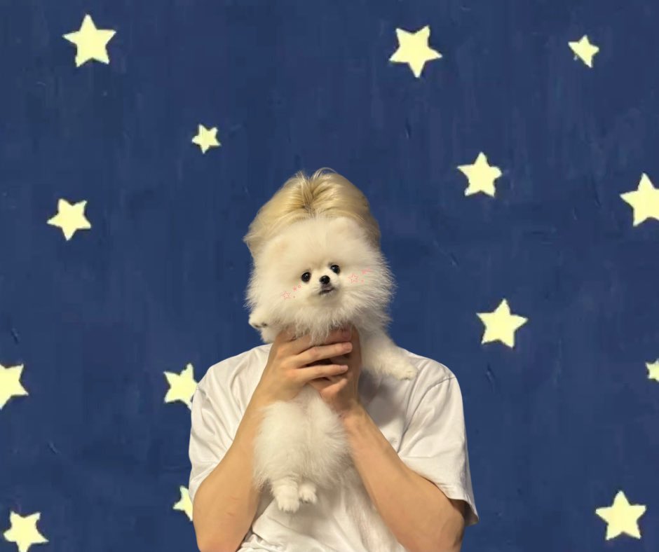 コグマ tweet media