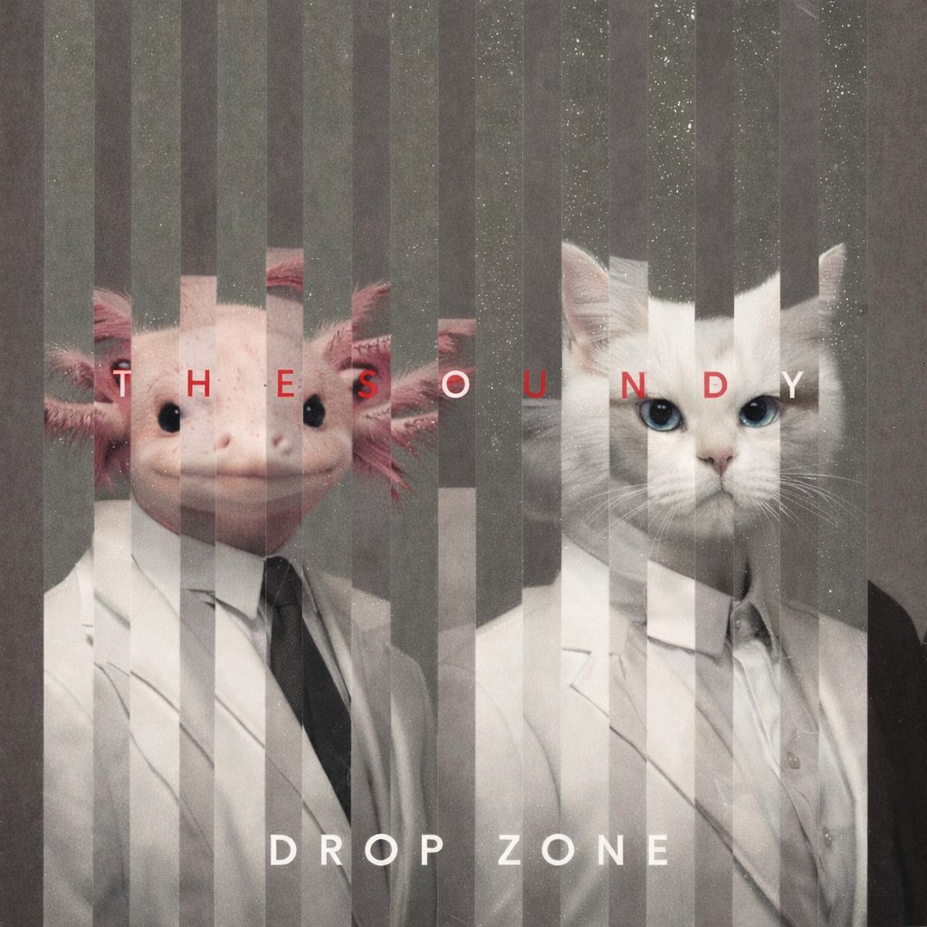 The Soundry tweet media