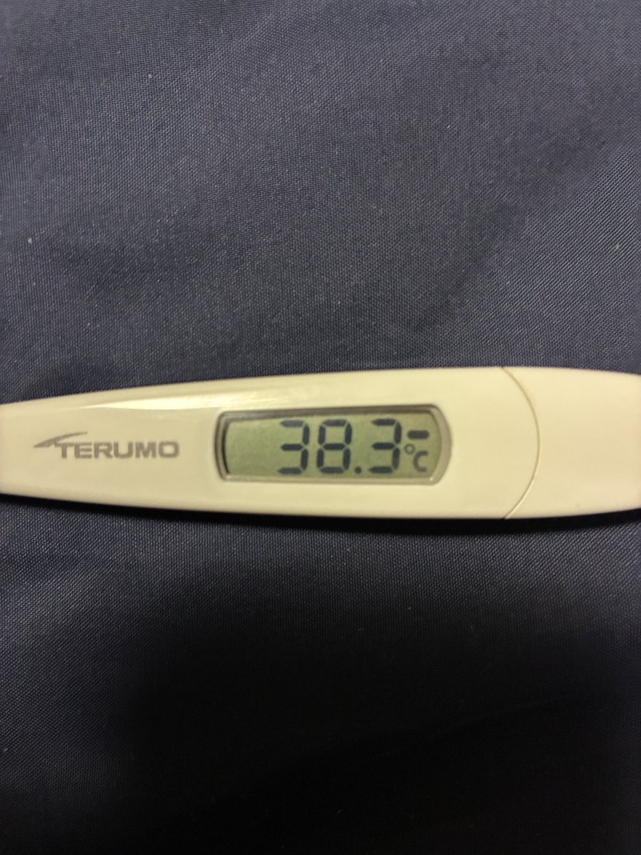 hasunotti's tweet photo. 体調キツくないけどめっちゃ熱出てる https://t.co/EUeGablp9U