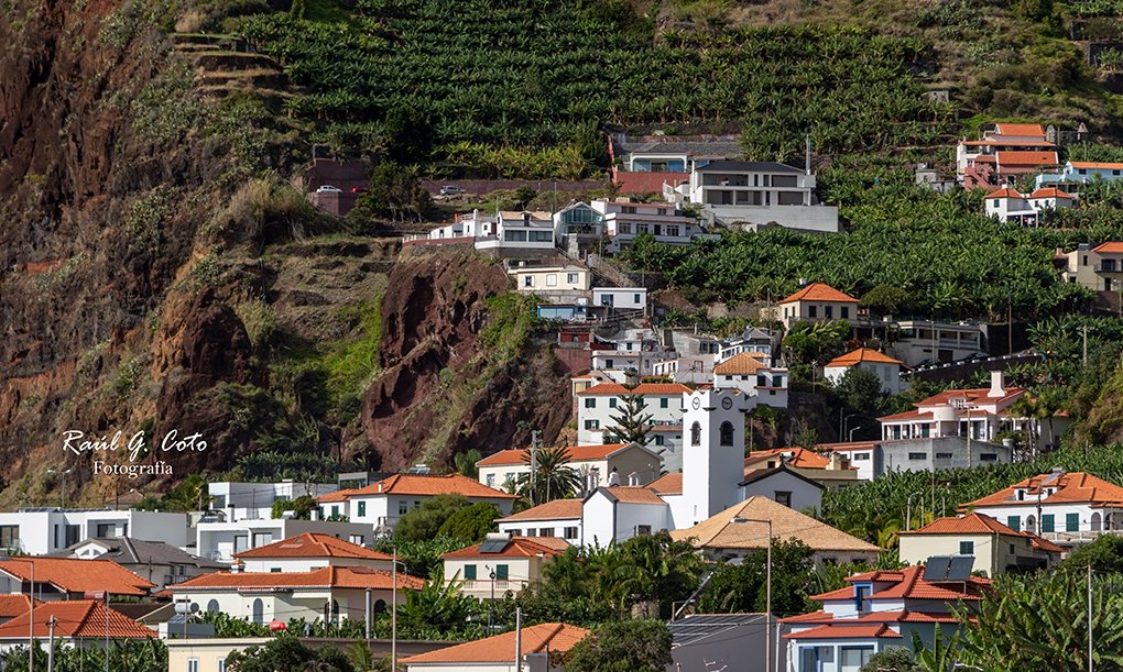 RaulGCoto's tweet photo. Madeira #Madeira #MadeiraIsland #Portugal #VisitMadeira #MadeiraLovers #IlhaDaMadeira #MadeiraPortugal #Funchal #TravelMadeira #MadeiraNature #Levadas #MadeiraOcean #ExploreMadeira #MadeiraIslandPortugal #MadeiraTravel #PérolaDoAtlântico #MadeiraPhotography #MadeiraViews https://t.co/vQ6DXrv7Zs