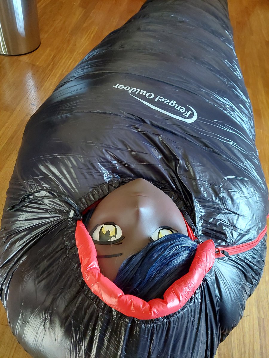 Eランチ tweet media