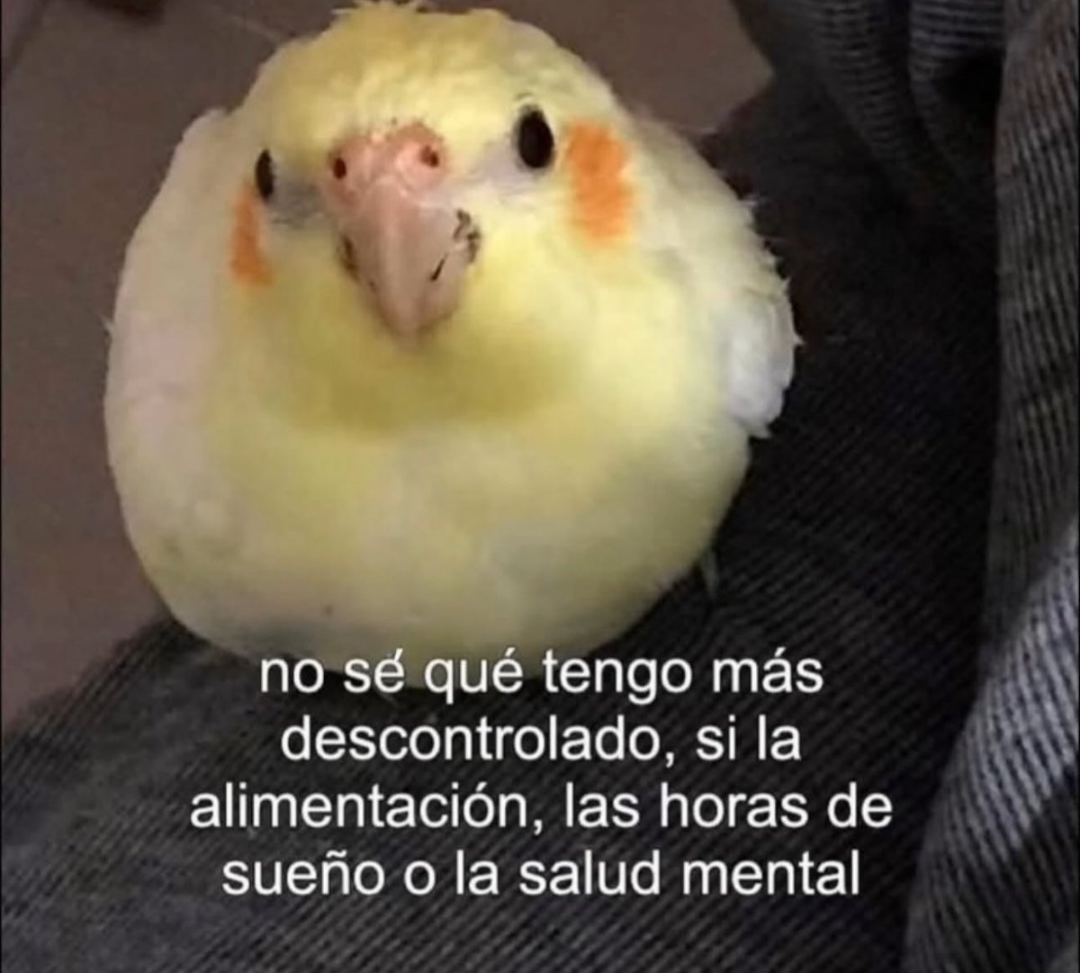 piña sin pizza (@skereunpesado) on Twitter photo 