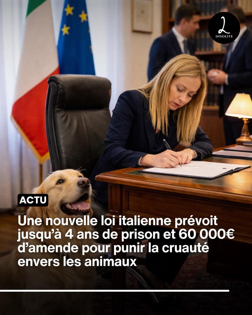 BastianGct's tweet photo. L’#Italie renforce sa législation contre la maltraitance animale. Après l’adoption d’un nouveau texte par la Chambre des députés, les personnes reconnues coupables d’actes de cruauté envers les animaux risquent désormais des peines pouvant aller jusqu’à quatre ans de prison. https://t.co/kTUn5A5OyR
