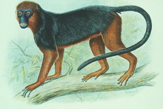 Cryptid Quest tweet media