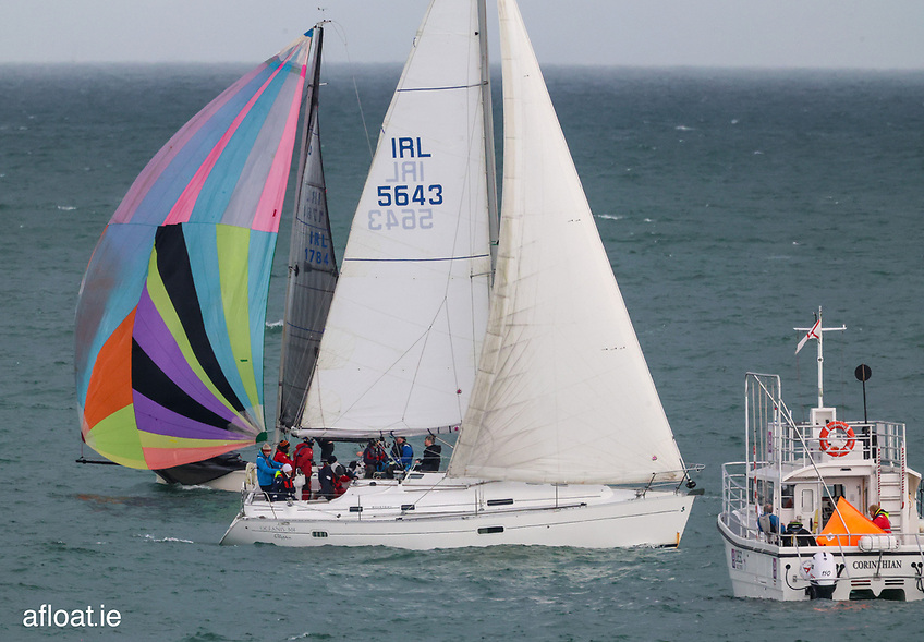 AfloatMagazine's tweet photo. DMYC Frostbites Cancelled But DBSC Spring Chickens Sail https://t.co/uILGLg9xr5 #DMYC #Frostbites #DBSC #SpringChickens #DunLaoghaire https://t.co/GadofRRybp