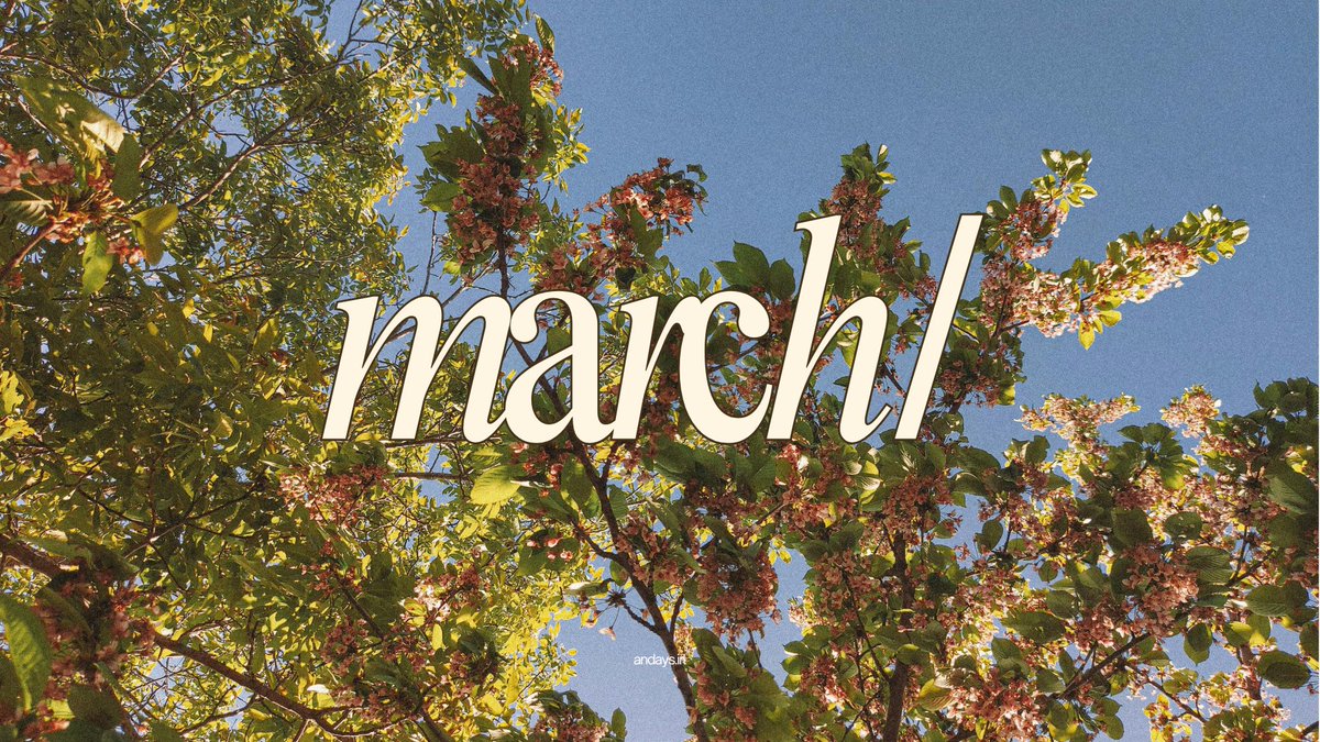 ꩜ .ᐟ tweet media