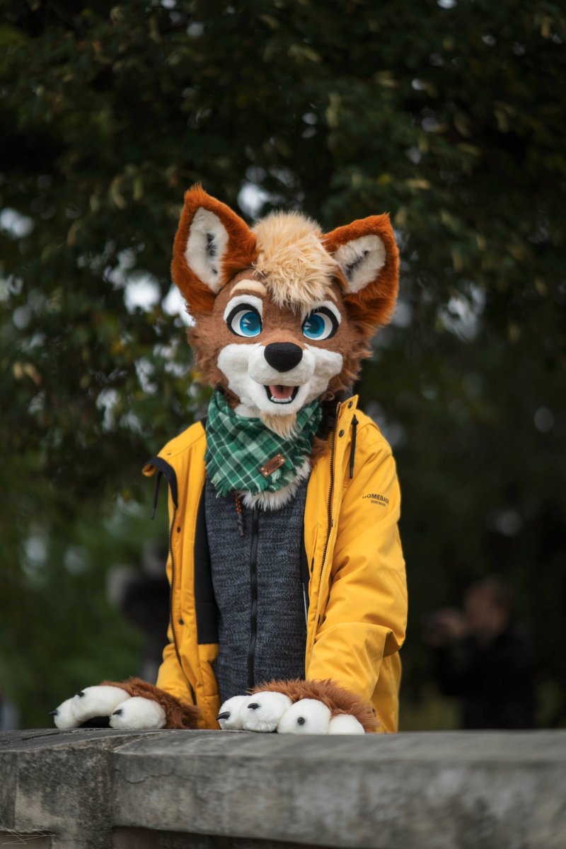 Lick's Photo tweet media