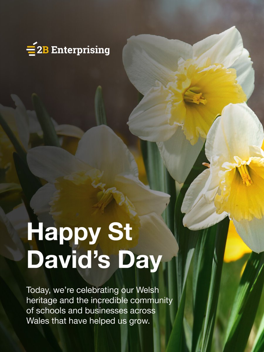 2B Enterprising tweet media