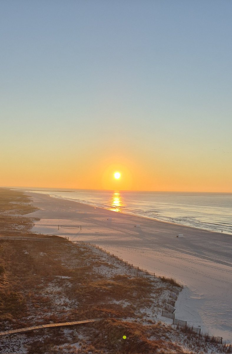 Dragonlady tweet media