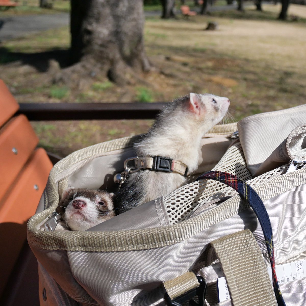 あっきー様ʢ☘︎-·̮•̯ʡʢ•̯·̫-☀︎ʡ (@ackey_73) / Posts / X