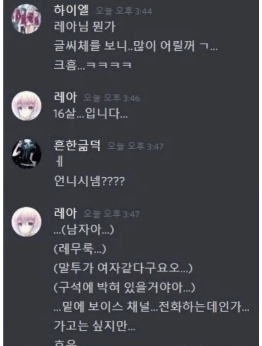 버블리 tweet media