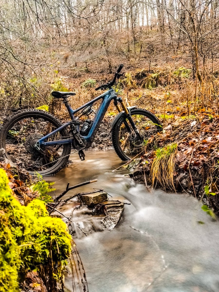 Forest of Dean MTB tweet media