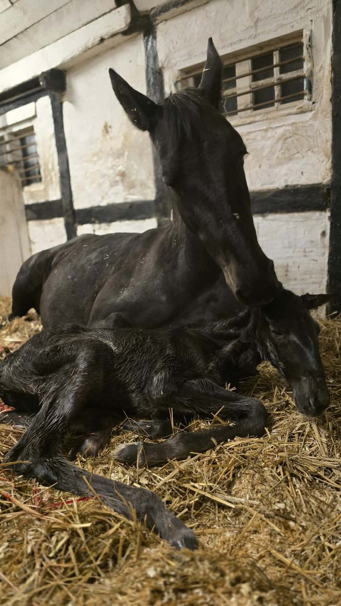 Marcus Brandt tweet media