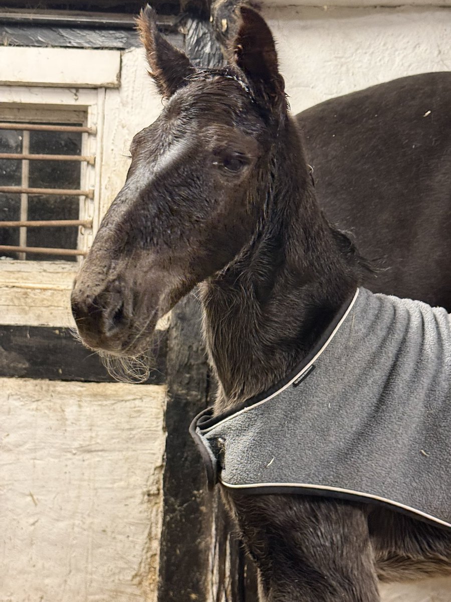 Marcus Brandt tweet media