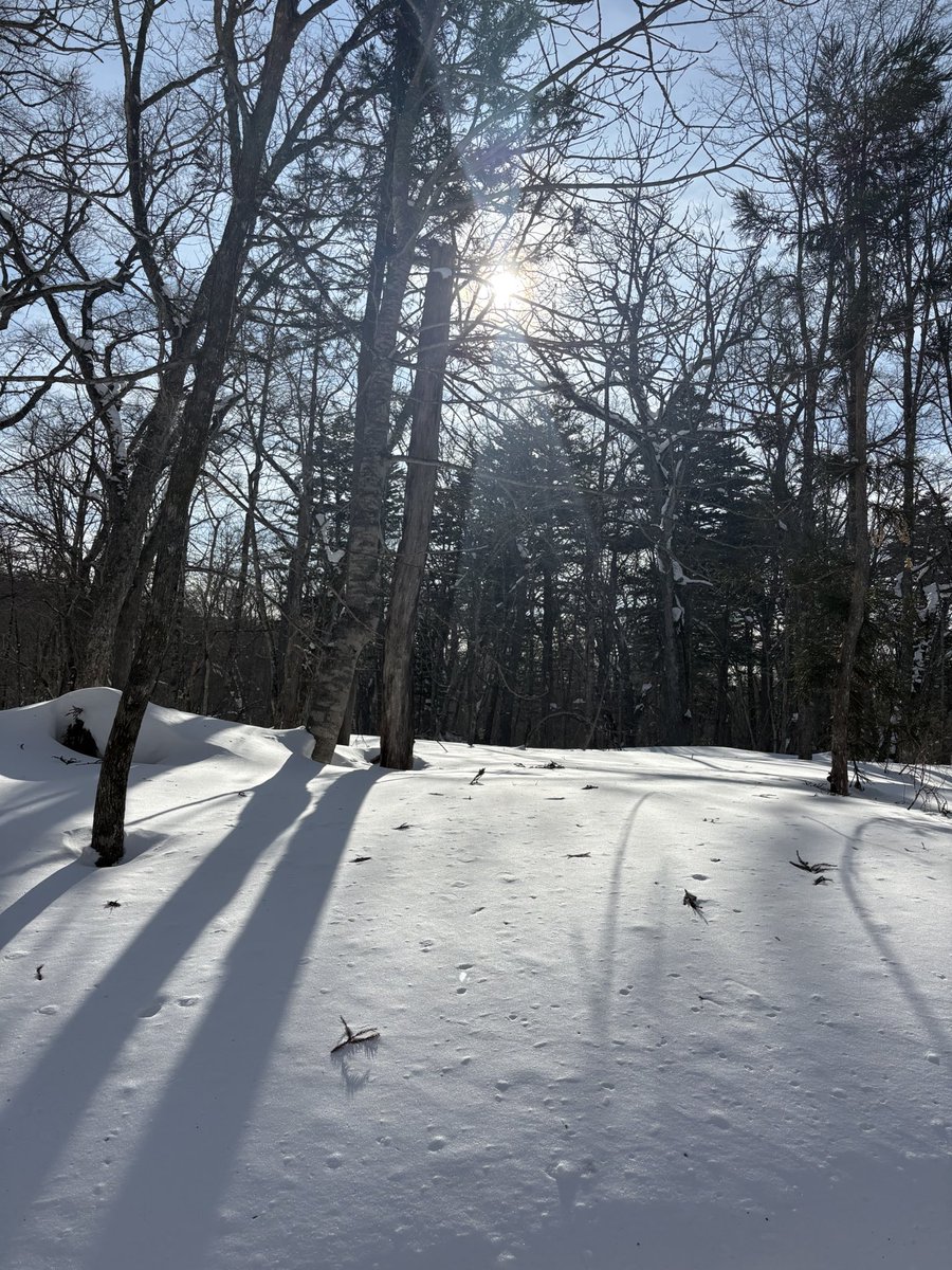 justonestep2025's tweet image. I walked this far
because you were there.

But maybe now it’s time
to choose a gentler place for my heart.

Thank you for walking beside me, Sensei.

#InMemory #QuietStrength #NextChapter #BloomingForSomeone