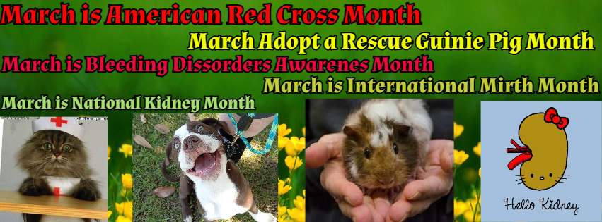 Because of Jim/Wild Serenity Cat Rescue Fund tweet media