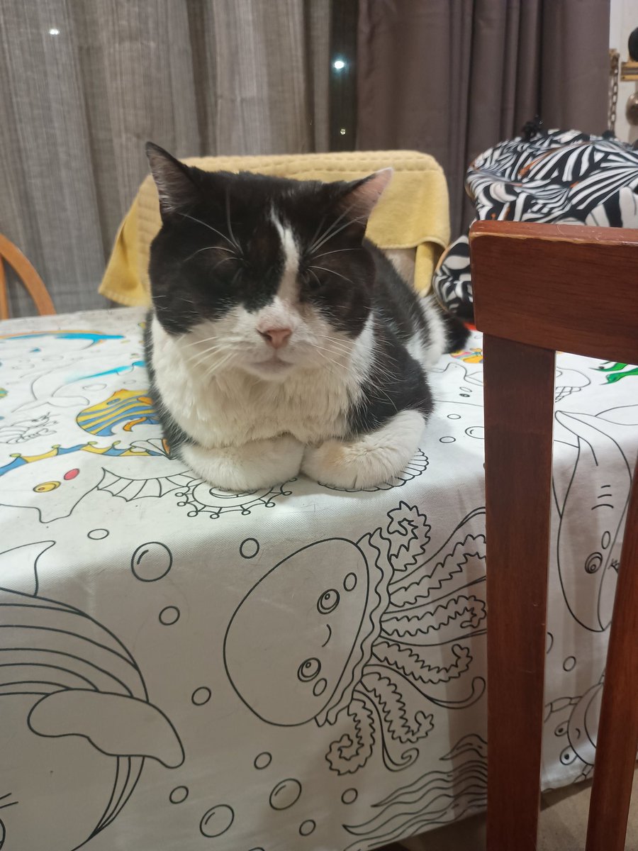 Dammit Sally tweet media