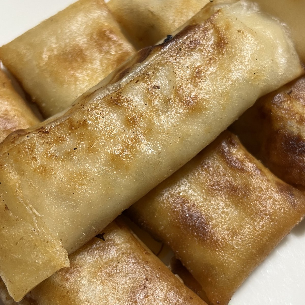 ドアップで失礼します
ツナとコーンの春巻きを作ったら爆発した😃