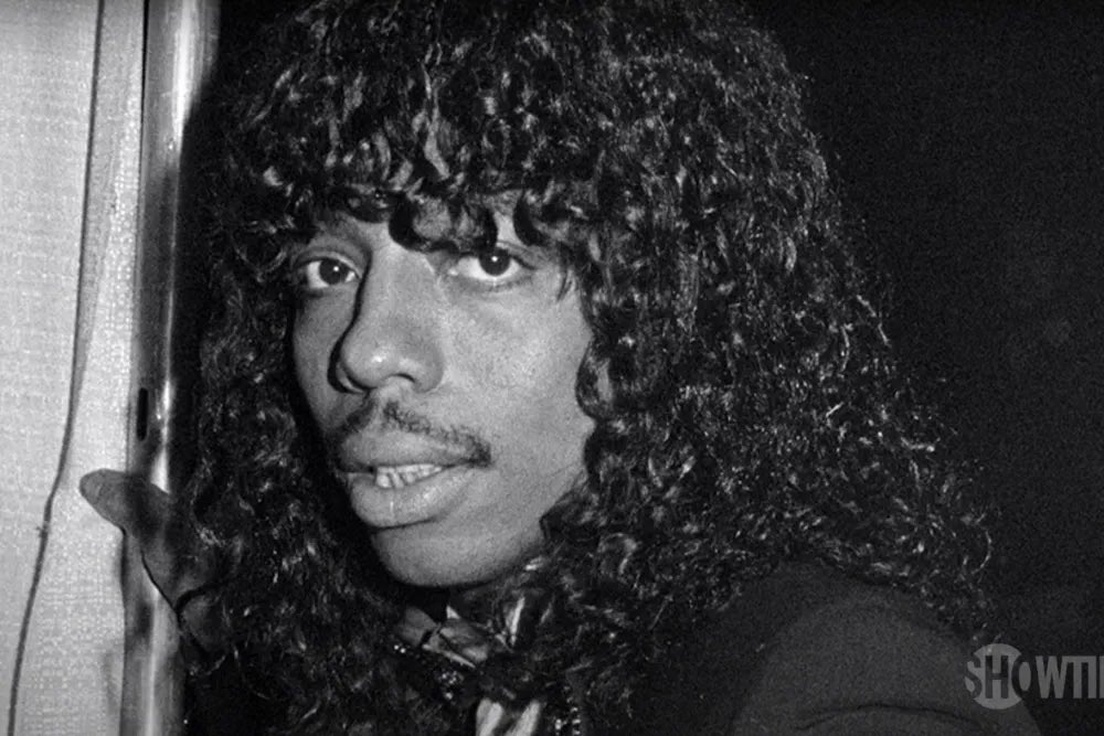 juanmarquez111's tweet image. Seriously, calling this dog any other name than Rick James is a miscarriage of Justice for this dog…