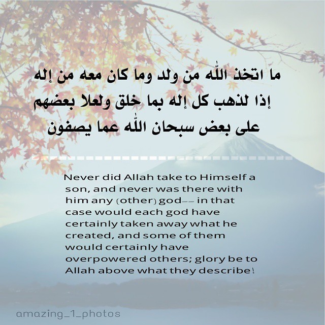 eid mohammed tweet media