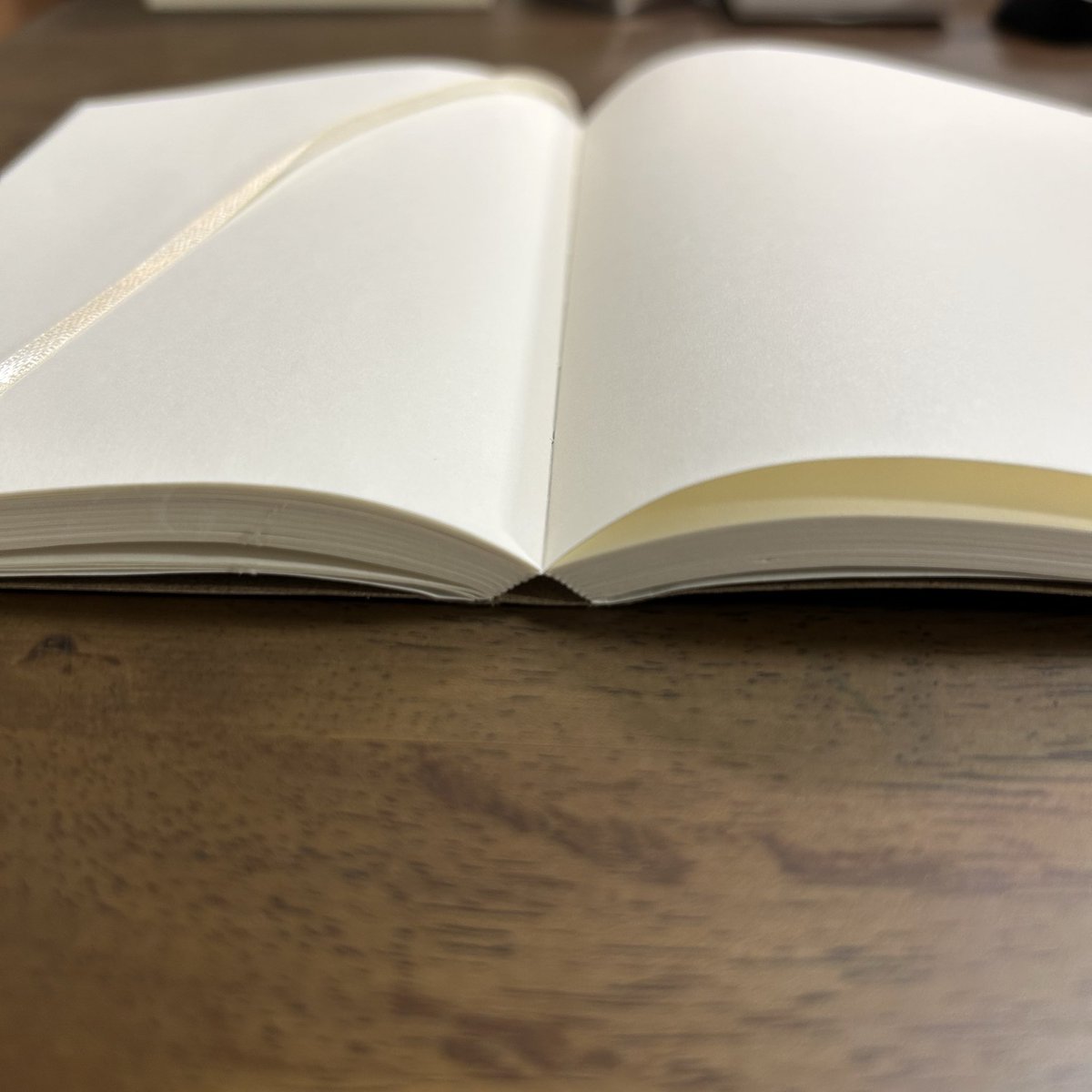 toosato's tweet photo. セリアと無印で文庫本ノートを買ってみたら、開きが全然違う。セリアがホローバック•糸かがり綴じで、無印がタイトバック•あじろ綴じらしい。セリア(薦田紙工業)のすごい書きやすい。

本の背の構造
https://t.co/Ylv45zFtGG
綴じ方の種類や特徴•コスト
https://t.co/nkCd5m1wLD https://t.co/q3lHx8qX3s