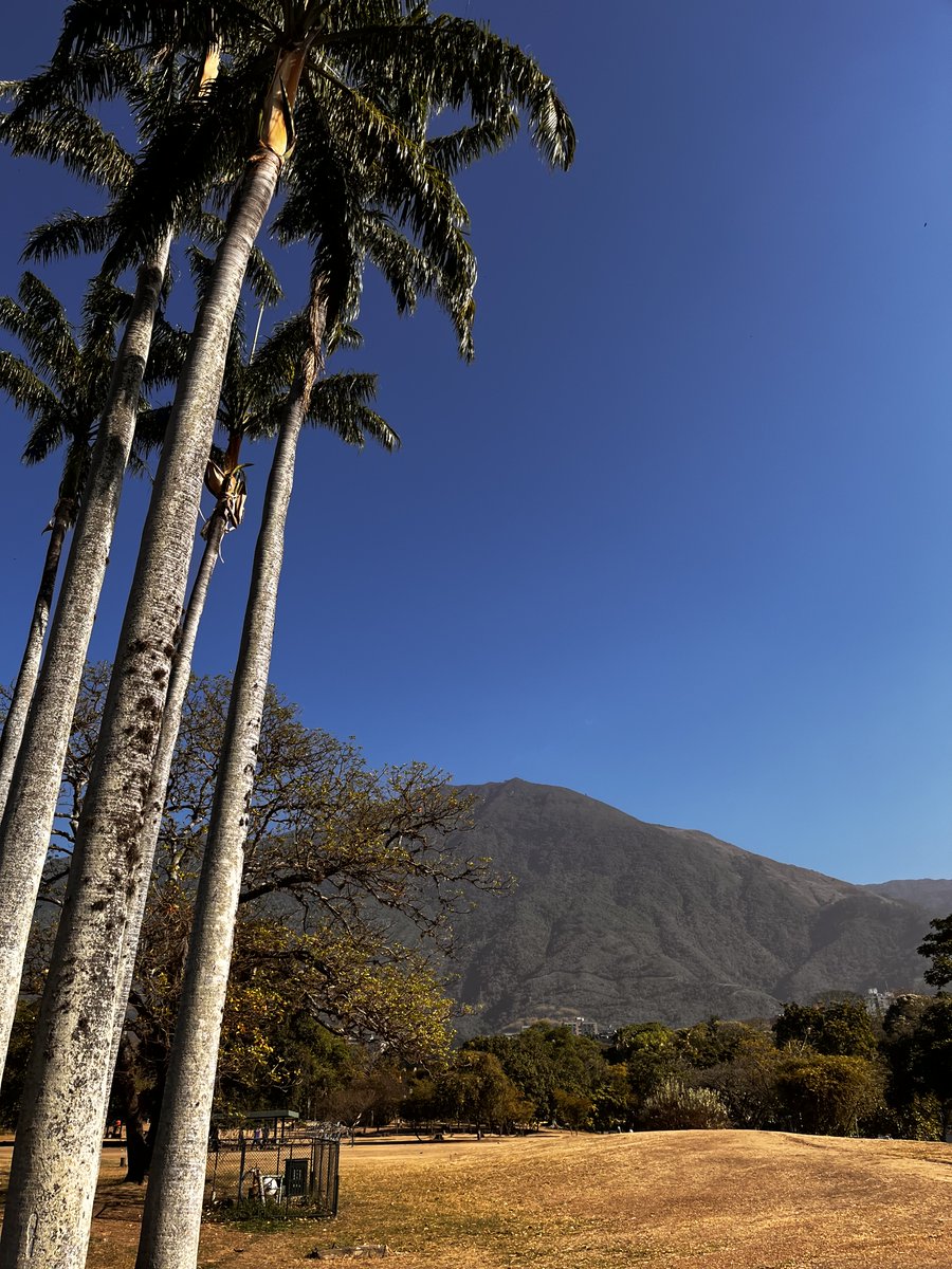 Seamos mejores personas, eso si cambiaría el mundo. Buenos días.

#UnaMiradaAlParque