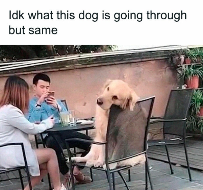 Eric Alper 🎧 tweet media