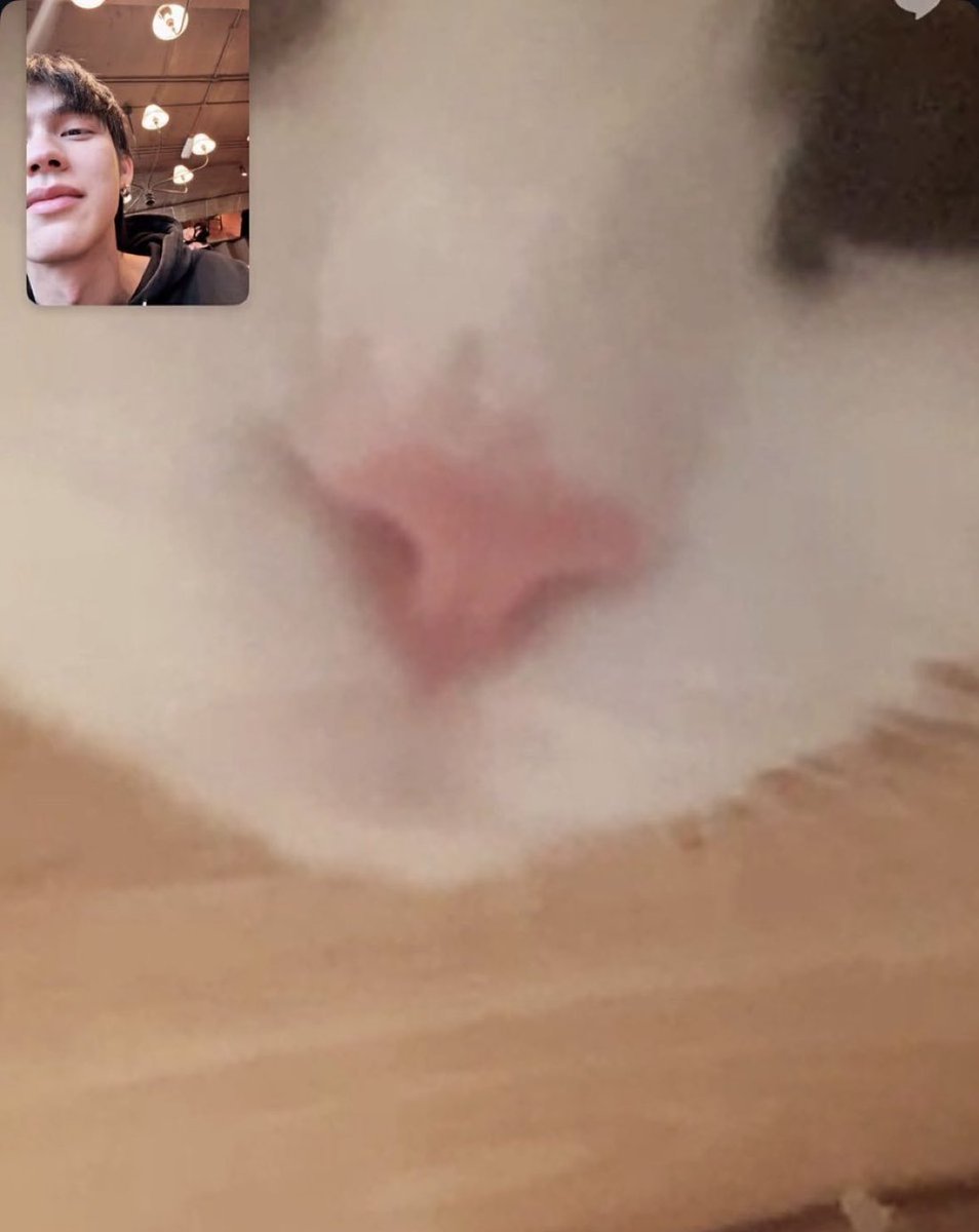 AmeMeowOfficial's tweet photo. 🐱 • @bbrightvc IGs Update 260301

Miss u my girl 🤍

#Amemeow
#bbrightvc https://t.co/kRLeVVAB1A
