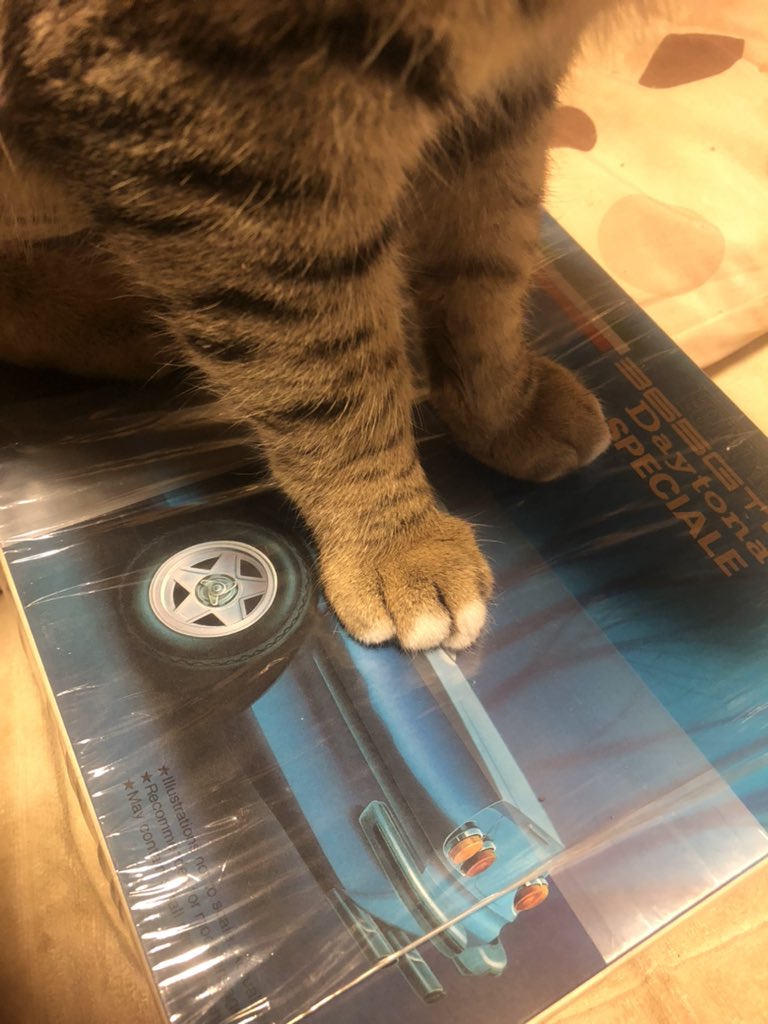 しいなとりで (@jetto) / Posts / X