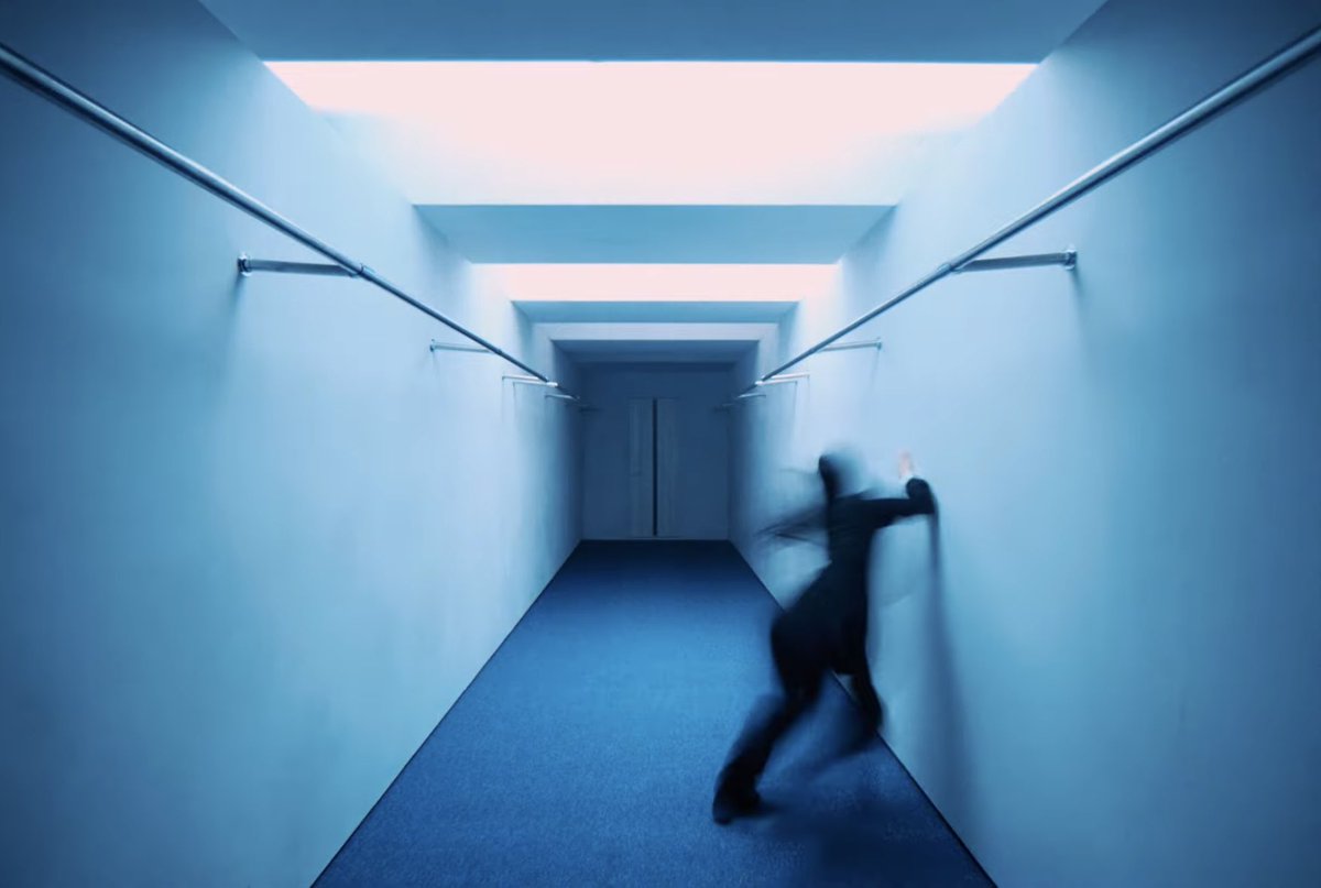 本気で壁と床にぶつかって行くAdoちゃん(っ_ _)っ #ビバリウムAdoと私 #Ado