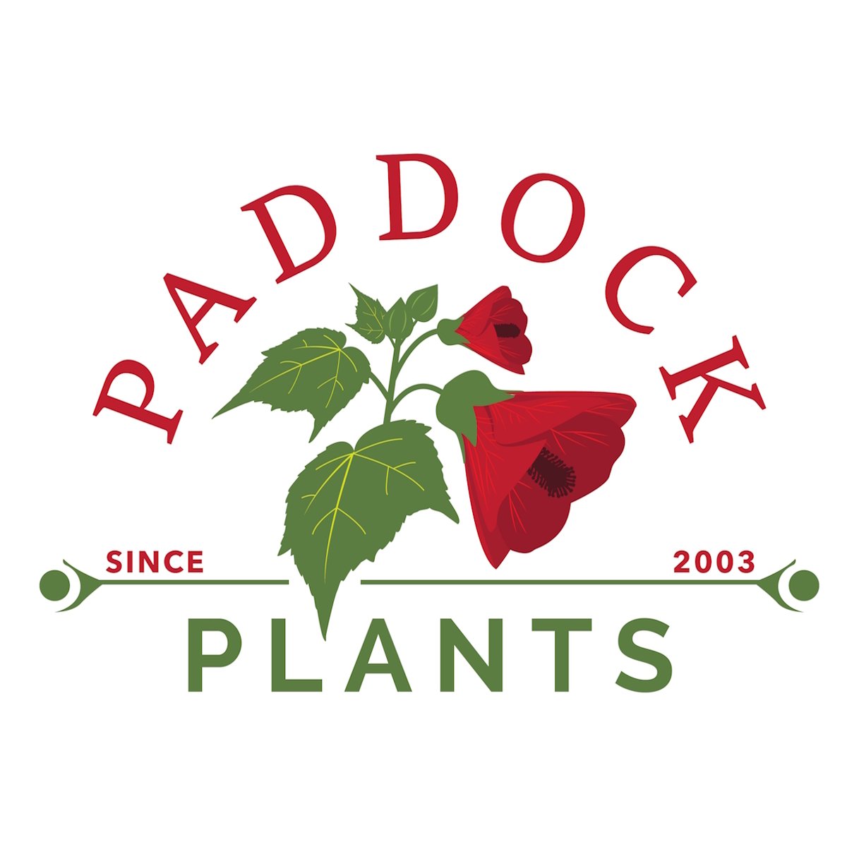 PaddockPlants's tweet photo. We're back! The Paddock Plants website is up and running once again now that we have completed updating it. Just in time for spring. Thank you for your patience while we were offline.😊
https://t.co/azmQ8bXwMq https://t.co/8OOZMxO9nz