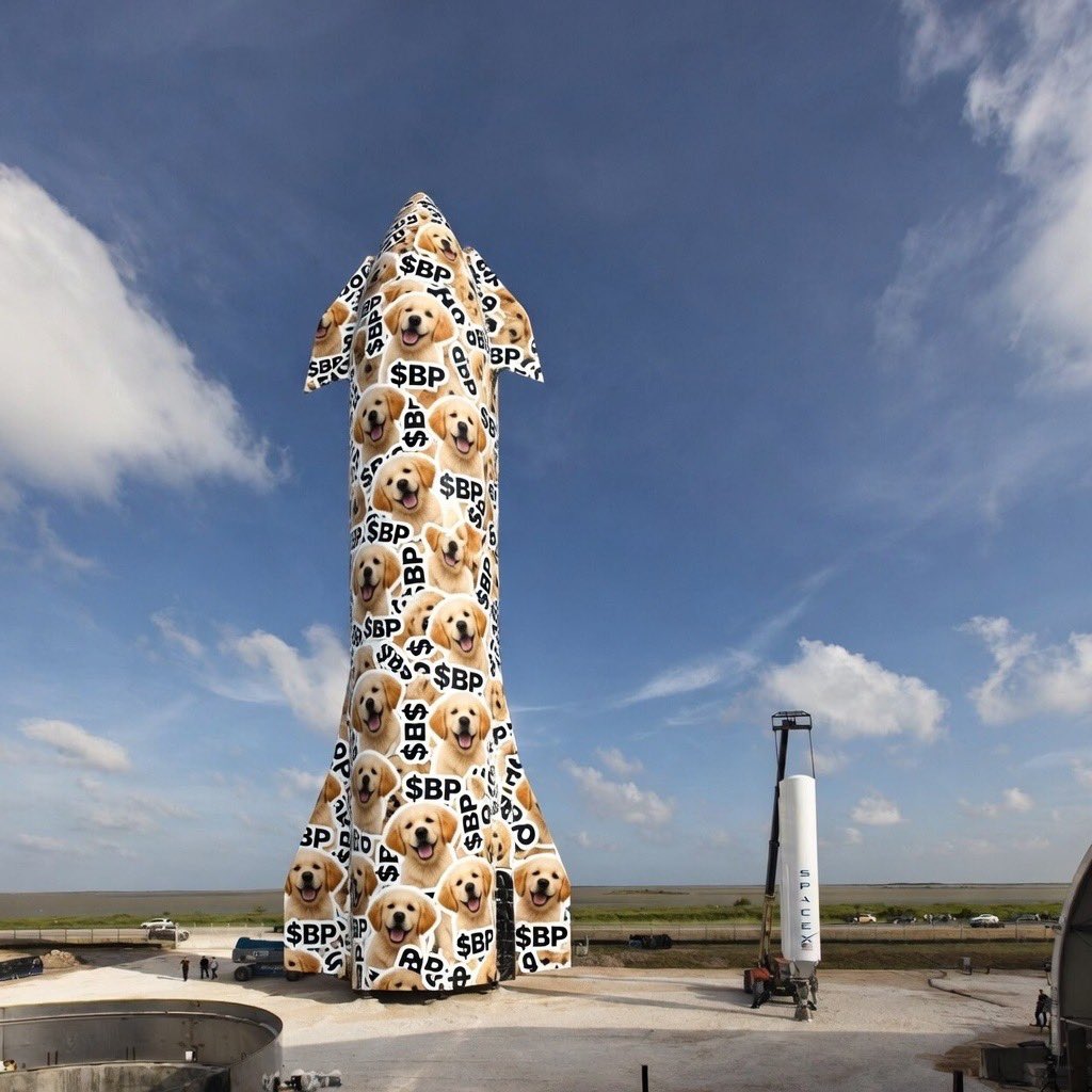 <a href="/BeTheHoss/">Hoss Co.</a> <a href="/SwamiKnows_/">Swami</a> <a href="/elonmusk/">Elon Musk</a> He does, this just got spotted earlier today:

$BP