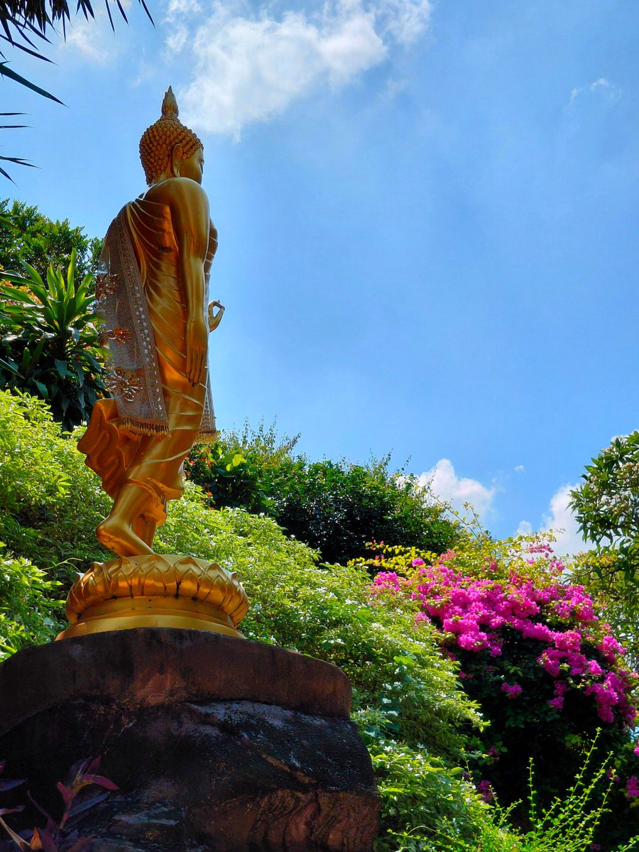 My Favourite Bench tweet media