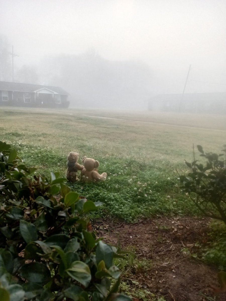 BogartSmith3's tweet image. Stop looking the other way Bobby and keep alert those zombies could be coming out of the mist any second now and they are about to meet fearless zombie hunters Raaaraaa #ZSHQ #teddybear
