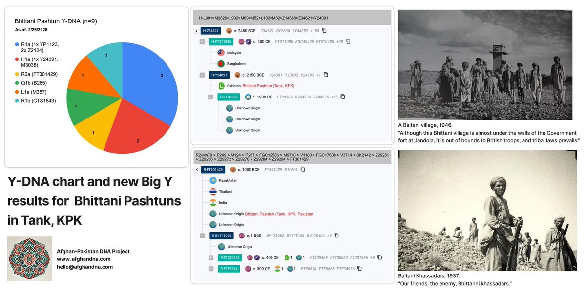 Afghan_DNA's tweet photo. Our project has received H1a and R2a Big Y results from the Bhittani tribe of Pashtuns in Tank, KPK, Pakistan.

H1a Bhittani

Y-DNA: H1a1a1c - Y24091
H-L901 > M2826 > L902 > M69 > M52 > L182 > M82 > Z14668 > Z34621 > Y24091
https://t.co/q4eZ22z6jH

H-Z14668 had previously been identified in two Ghilzai Nasar Pashtuns, one from Nangarhar, Afghanistan and another from Balochistan, Pakistan. A Big Y test has now been ordered for the H1a Nasar Pashtun from Afghanistan to determine whether the Nasar and Bhittani H1a lineages share a closer relationship.

R2a Bhittani

Y-DNA: R2a2b1b2a - FT301429
R2-M479 > P249 > M124 > P267 > FGC12586 > M9710 > V1180 > FGC17608 > V3714 > SK2142 > Z29281 > Z29266 > Z29272 > Z29270 > Z29284 > Z29294 > FT301429
https://t.co/UvS4ARVRjG

This is the first time this particular R2a subclade has been identified among Pashtuns. Additional Big Y testing of Pashtuns carrying similar R2 lineages will be necessary to better understand its distribution. More importantly, testing non-Pashtun populations with R2a lineage closer to the Bhittani R2a will help clarify the possible source and historical pathway through which this clade entered Pashtuns, e.g. the closest living vector population.

So far, the sample size from the Bhittani remains limited. However, even with the small dataset, they already display a relatively high diversity of lineages, with no single dominant paternal line emerging.

Particularly interesting is the presence of Q1b among them. This lineage was likely introduced through a Lodi/Lohani (most probably a Marwat) Pashtun who assimilated into the Bhittani tribe.