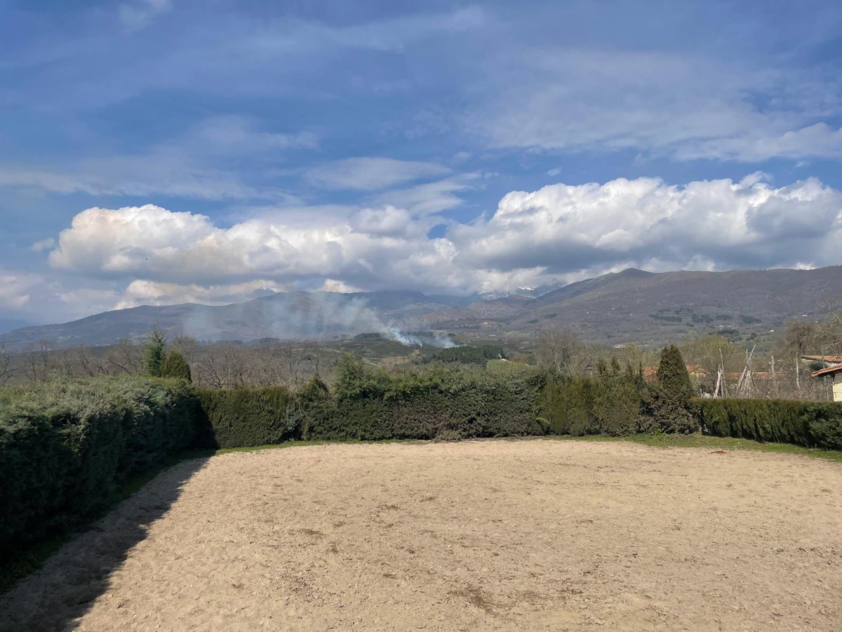 Infues Avila tweet media