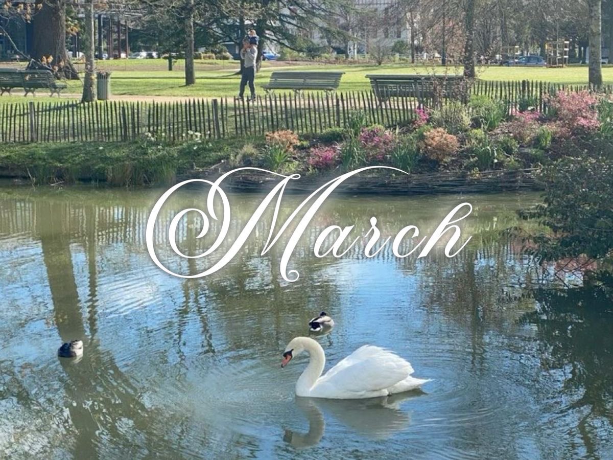 alicerelates's tweet photo. 𓂃⟡ ݁ ꒰ march log ꒱ ⸝⸝  .ᐟ . 

            · · ─ ·ʚɞ· ─ · ·

goals ₊˚𖦹⋆

→ drink 8 cups of water per day

→ exercise / practice ballet 5x per week

→ 900 cals per day

→ grades on assignments or tests must be no lower than a B+

→ 3-5k steps per day

🏷️ #edtwt https://t.co/mpY82thii5