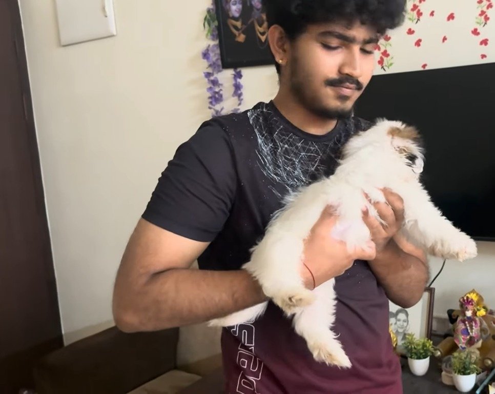 Haneeth Arora tweet media