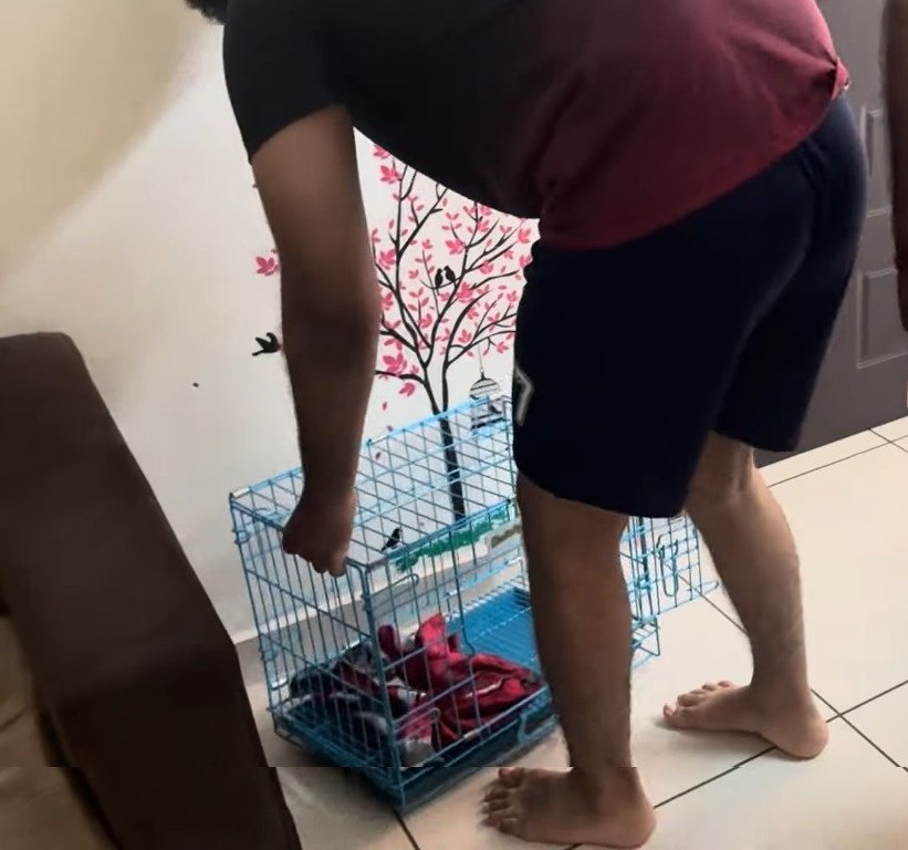 Haneeth Arora tweet media