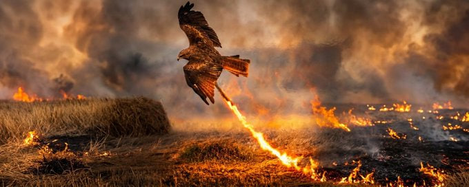 Alex Carter tweet media