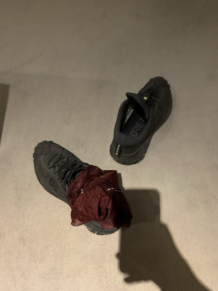 好久不见
