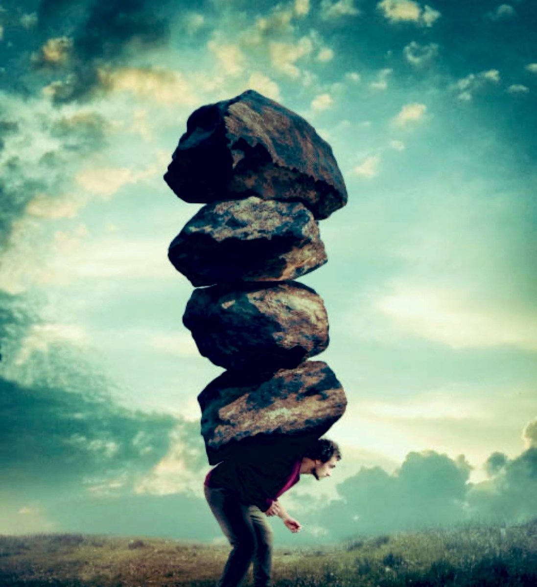 Dear All tweet media