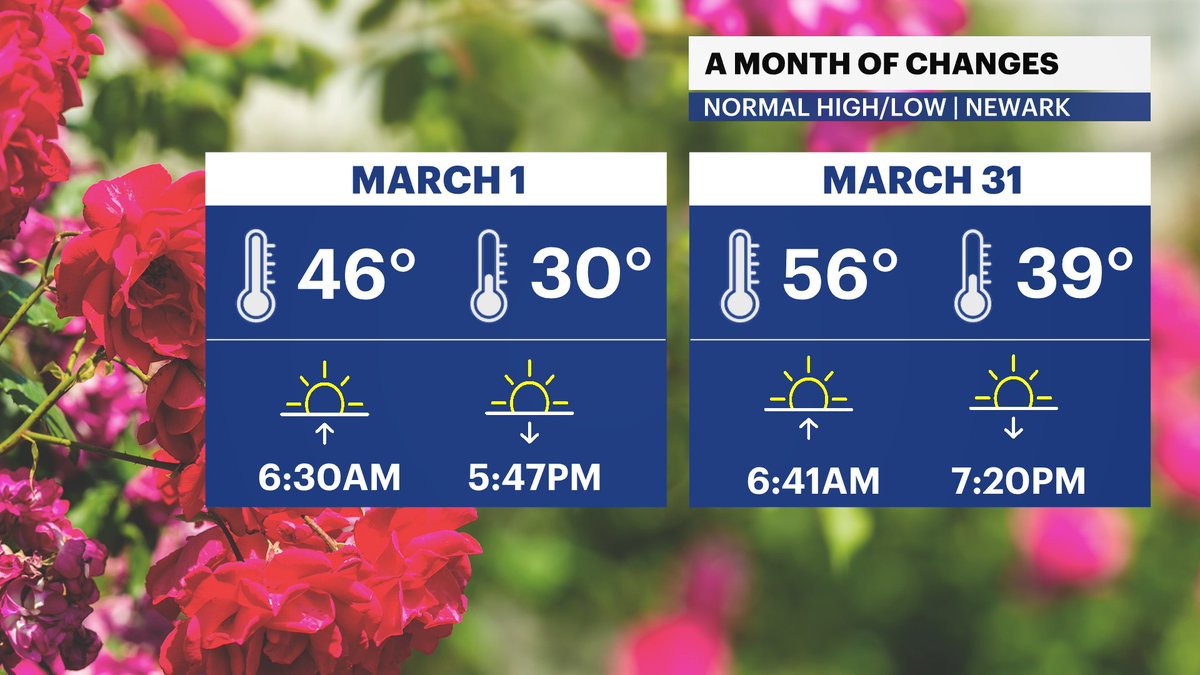 Radek Przygodzki tweet media