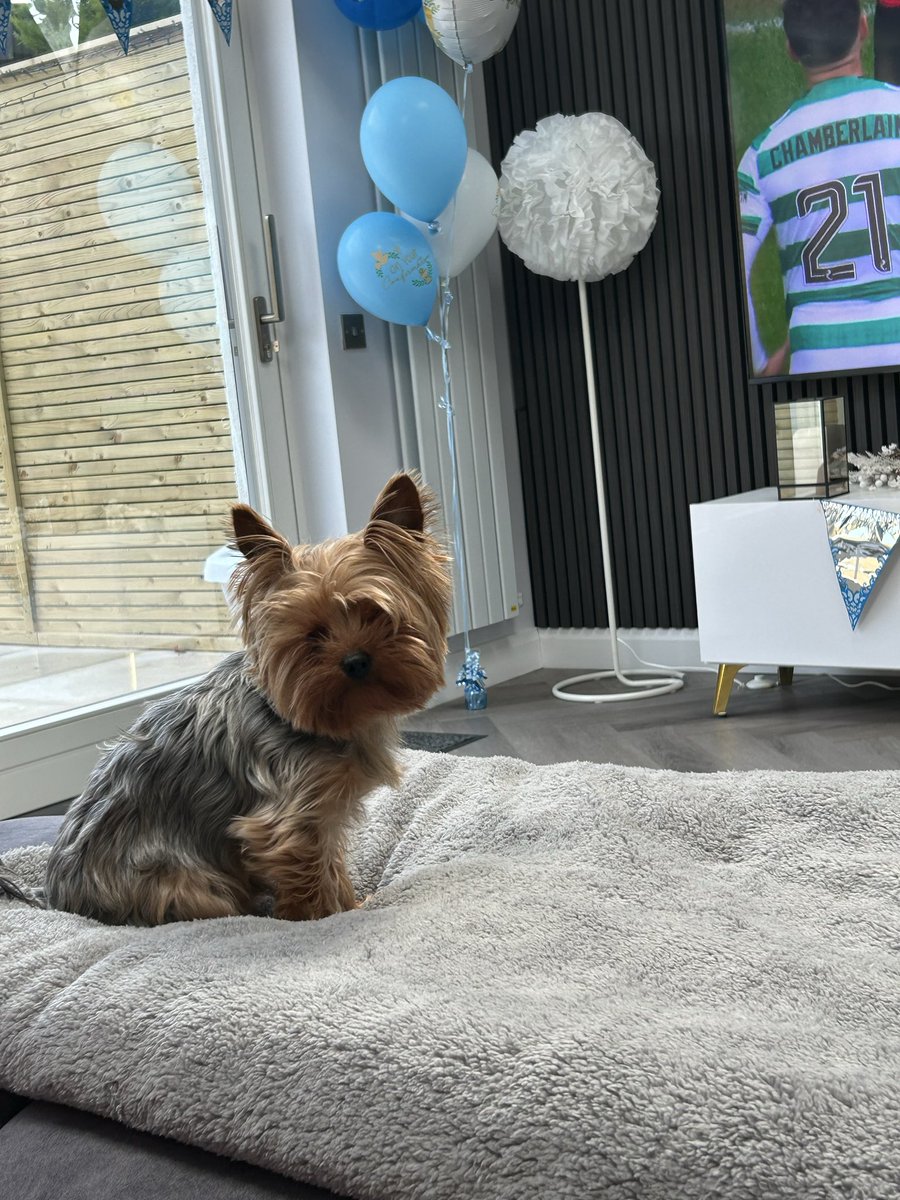 Rory Fitzgerald tweet media