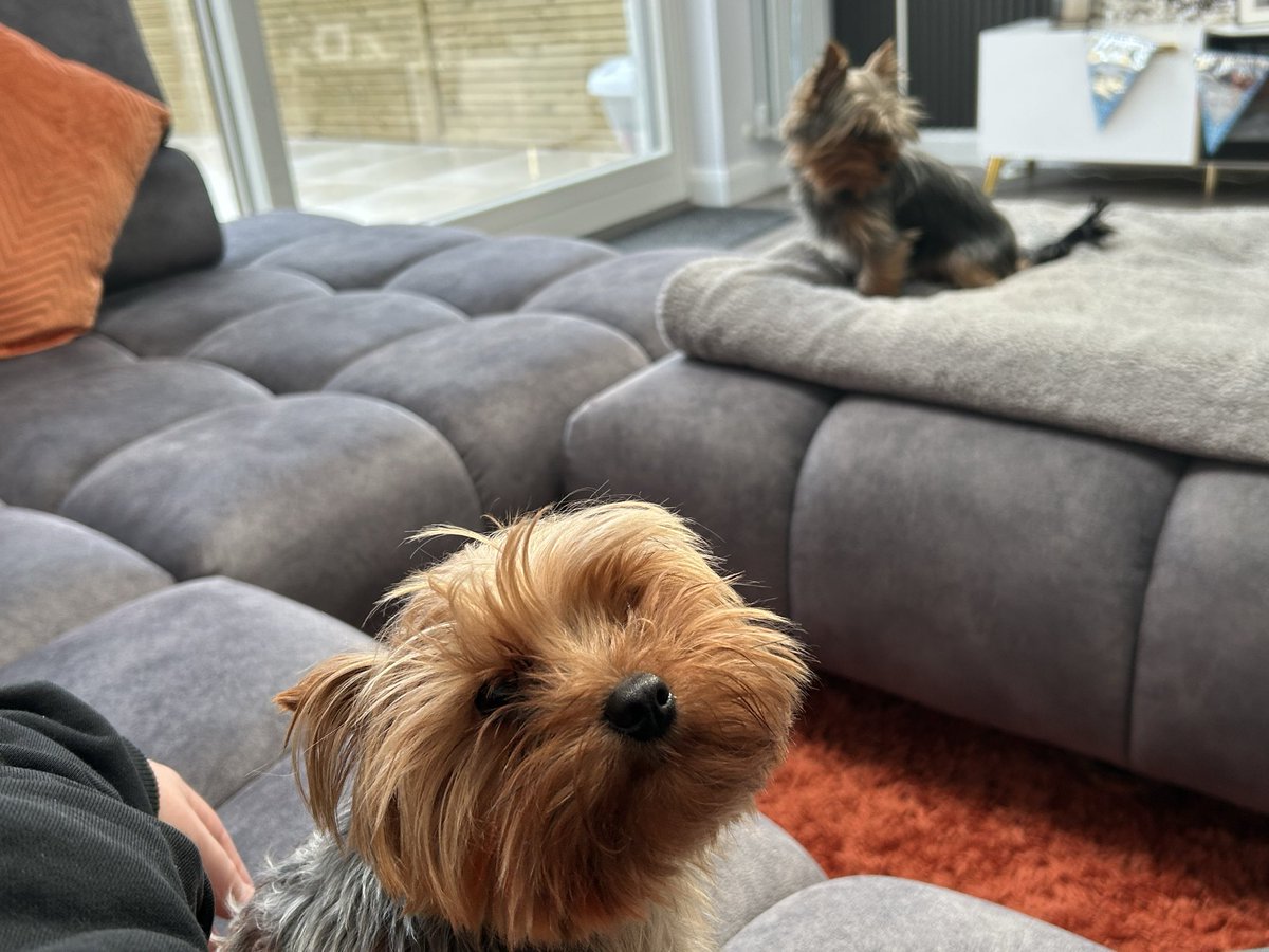 Rory Fitzgerald tweet media