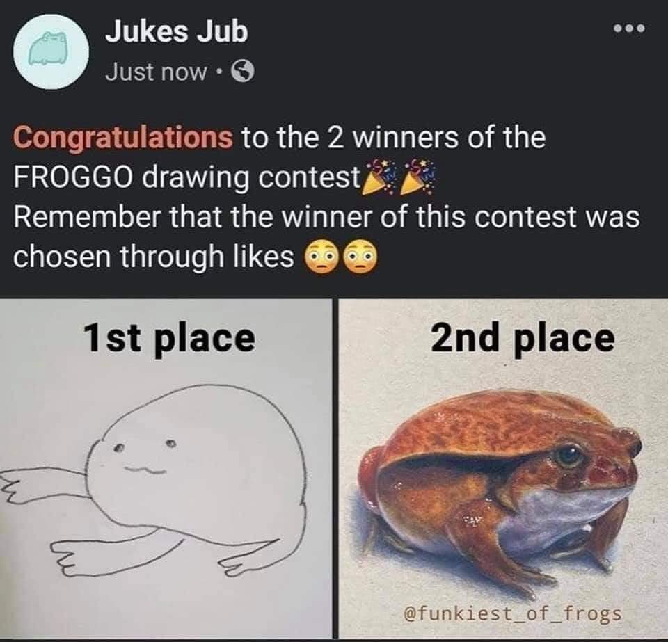 Average crypto contest be like

"The Discord post with the most votes will get the OG role on Discord"