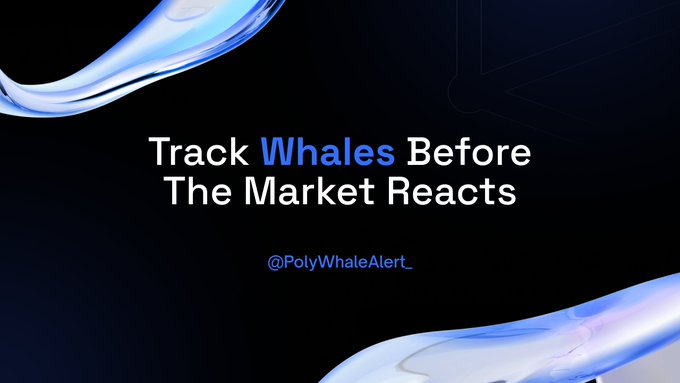 PolyWhale Alerts tweet media