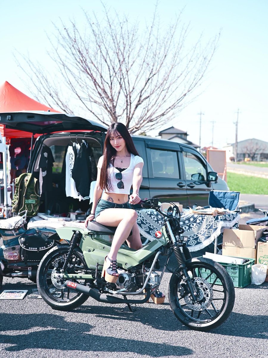 とらまる (@toramaru76) / Posts / X